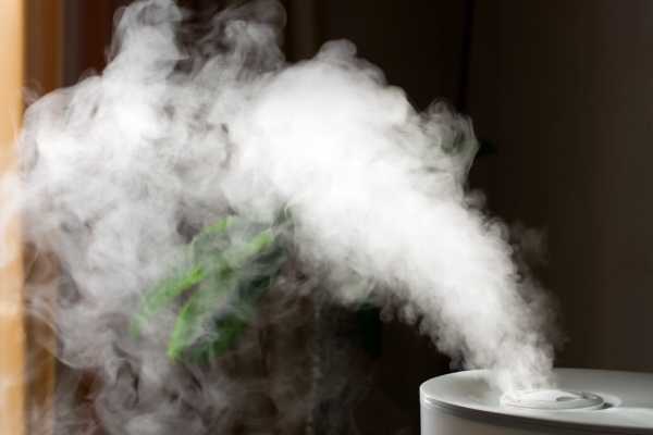 Use these ways to increase the humidity in your home without a humidifier.